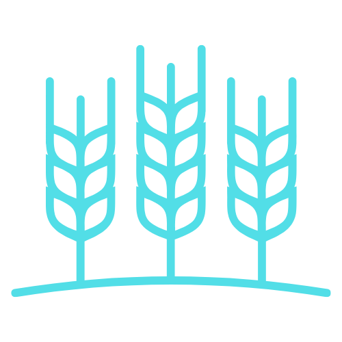 Harvest
